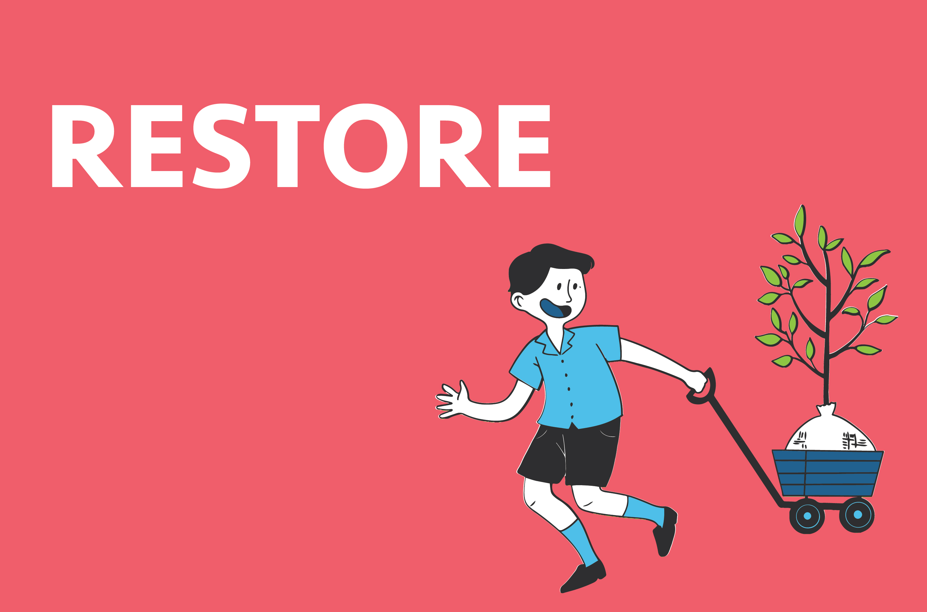 new restore-03